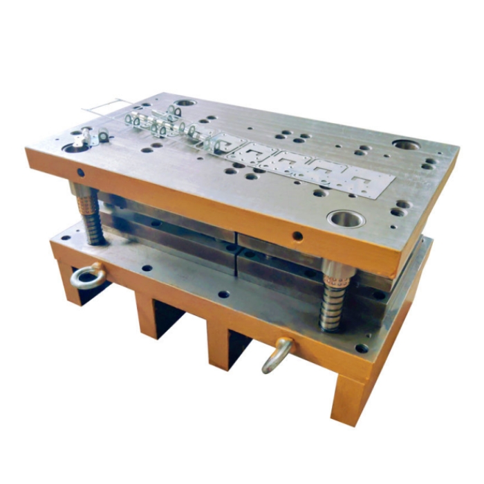 Precision Sheet Metal Piercing & Punching Die